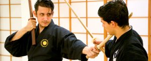 Nito Ryu Kenjutsu - Kampfkunstschule in Hamburg